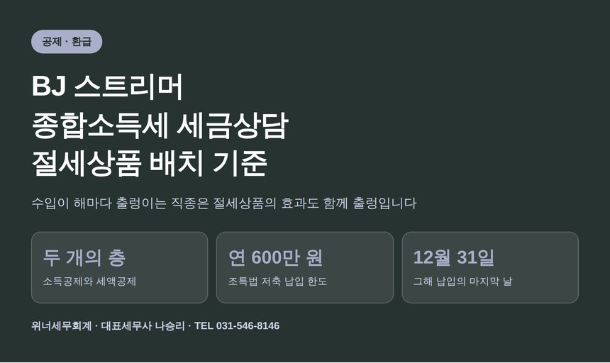 BJ 스트리머 종합소득세 세금상담, 절세상품은 수입에 맞춰 배치하세요 (BJ 스트리머 종소세 세금상담)