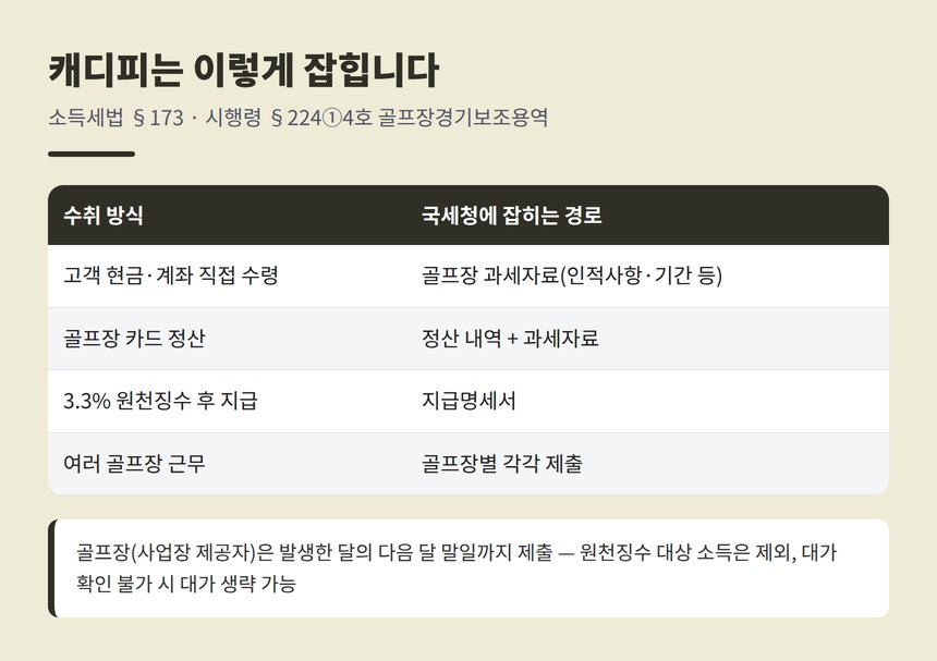 골프장 캐디 종소세 세금상담 캐디피 과세자료 제출 경로