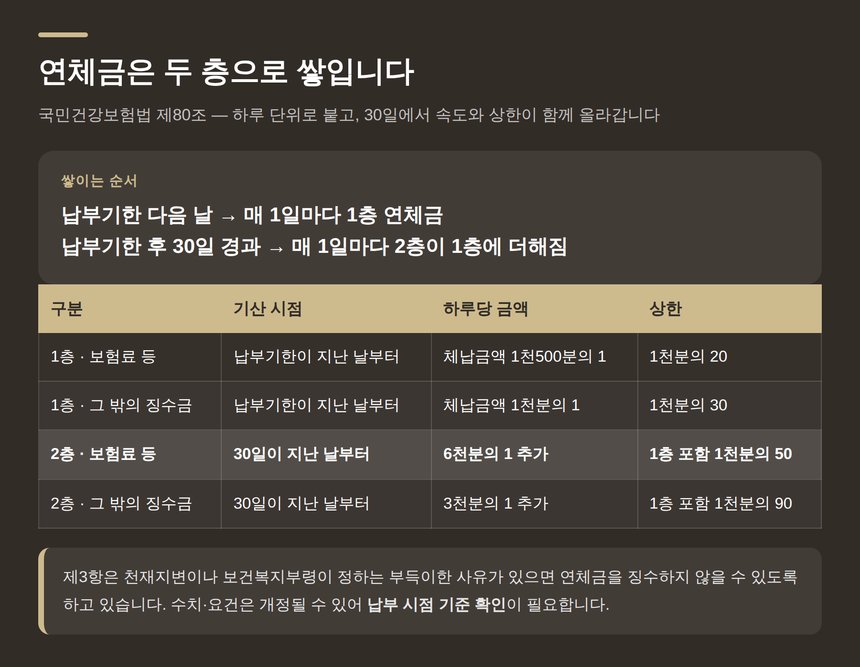 건강보험료 연체금이 두 층으로 쌓이는 구조