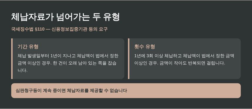 체납자료가 신용정보기관으로 넘어가는 두 유형